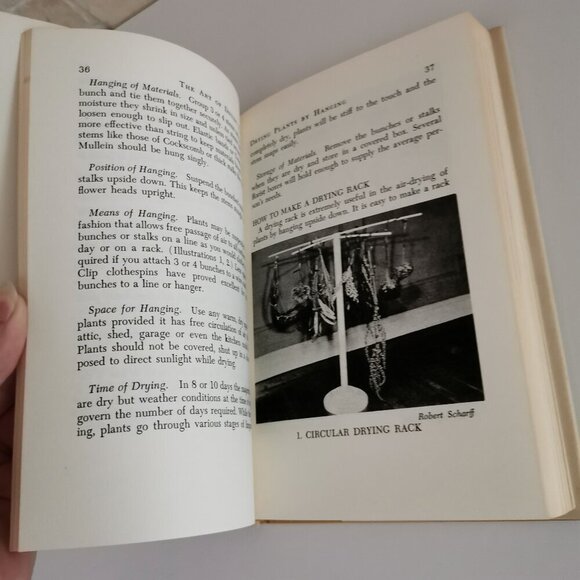 1958 The Art of Drying Plants & Flowers Book Vintage Mabel Squires Yellow Cover - Picture 11 of 11